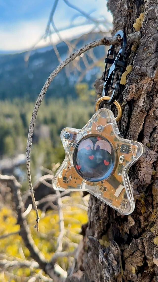Oneira development prototype attached to a tree in a mountain setting